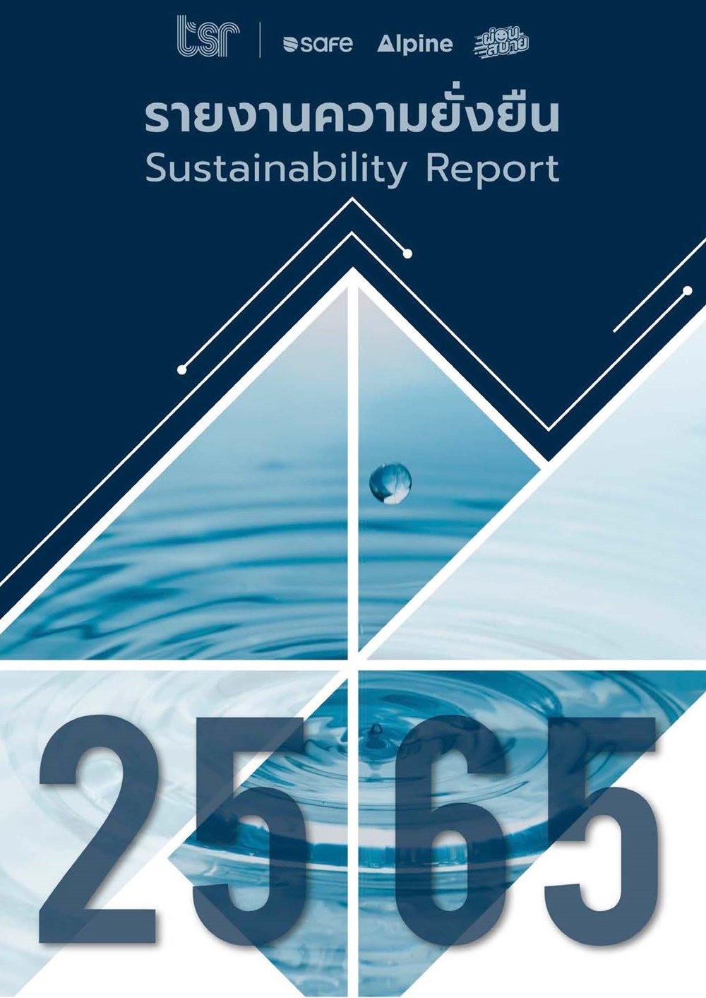 Sustainable Development report 2022