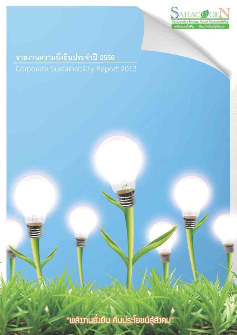 Sustainable Development report 2013