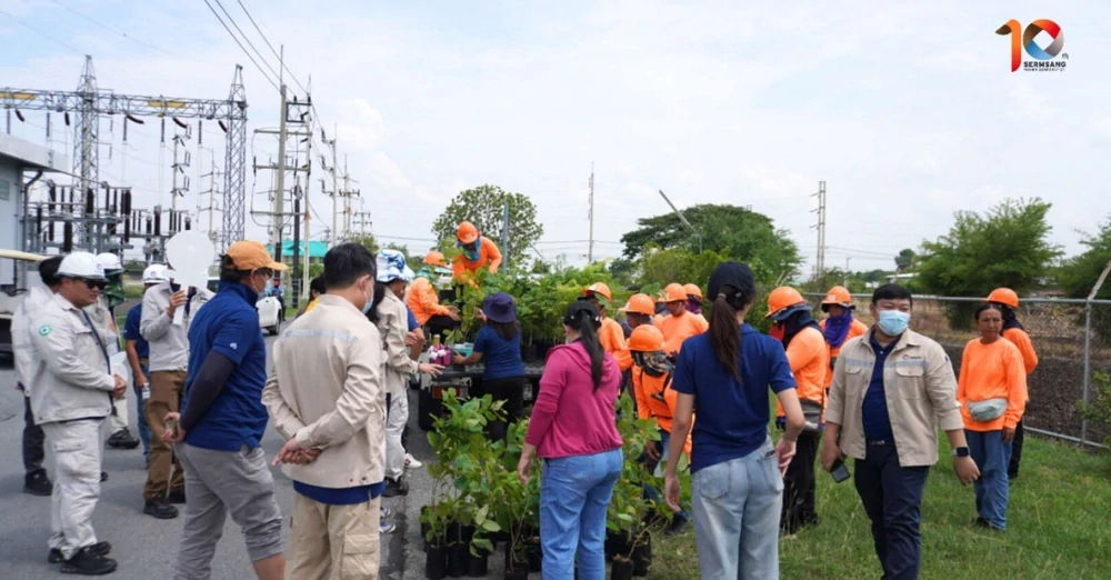 SSP เติมสีเขียวให้โลก เดินหน้าโครงการ GREEN HAVEN ผสานพลังงานสะอาดกับการอนุรักษ์ธรรมชาติ