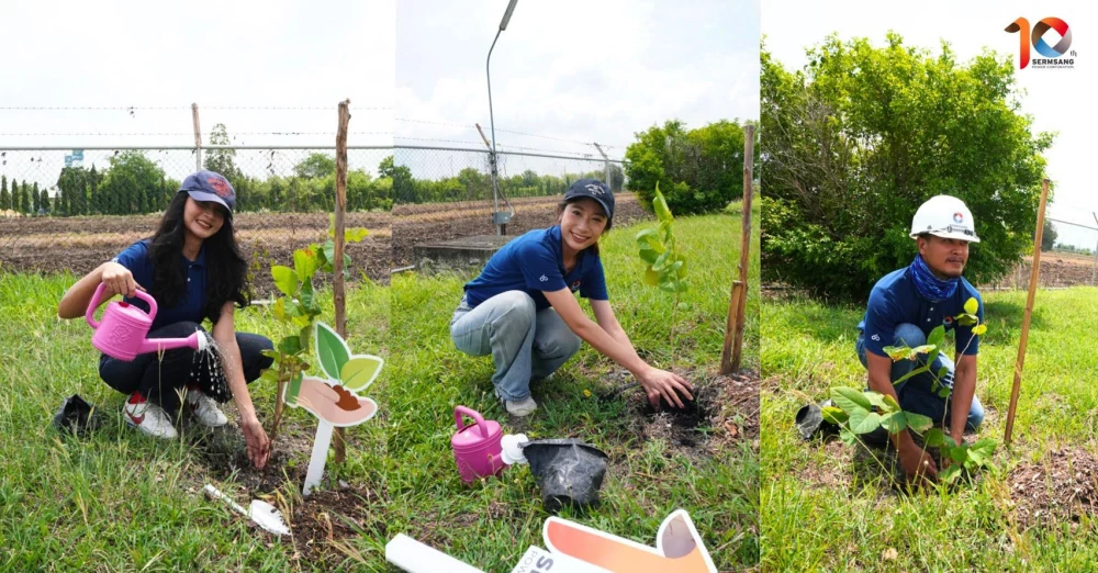 SSP เติมสีเขียวให้โลก เดินหน้าโครงการ GREEN HAVEN ผสานพลังงานสะอาดกับการอนุรักษ์ธรรมชาติ
