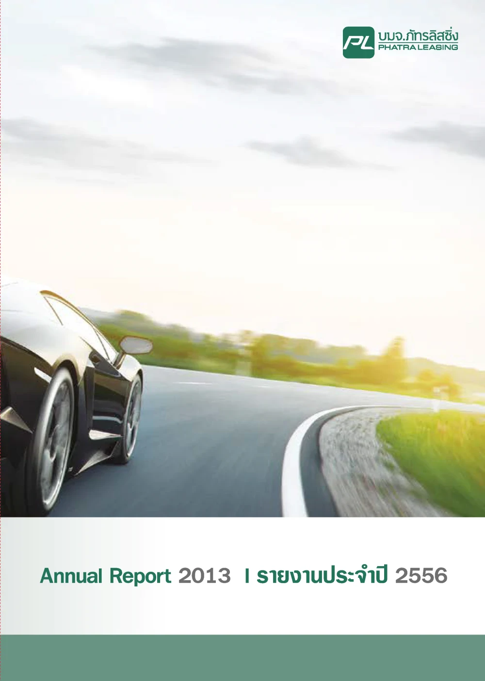 Annual Report 2013