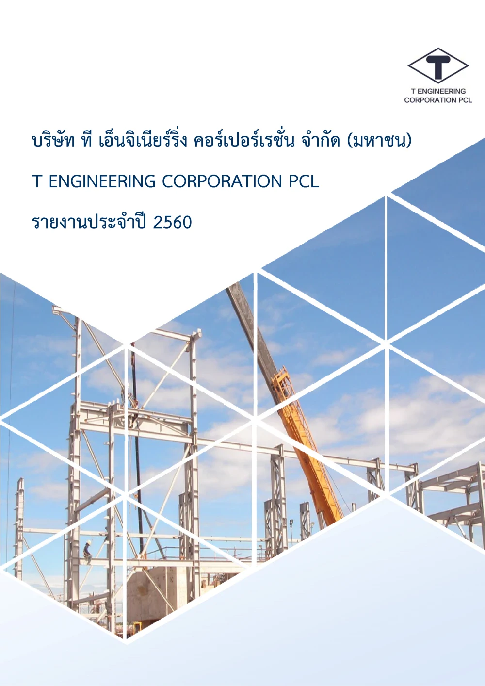 Annual Report 2017