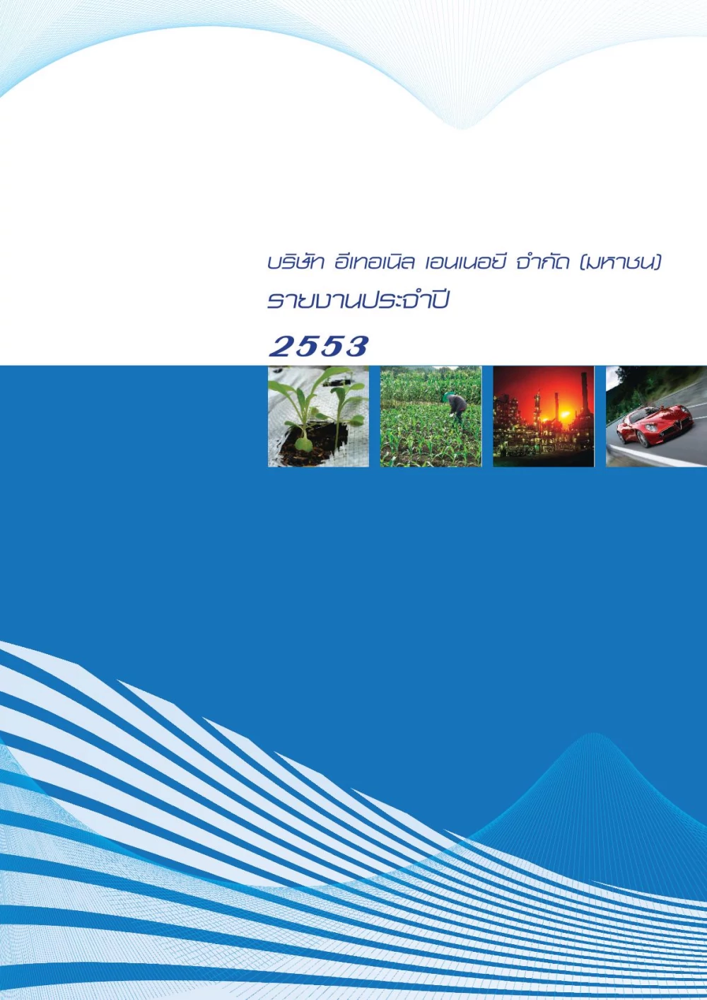 Annual Report 2010