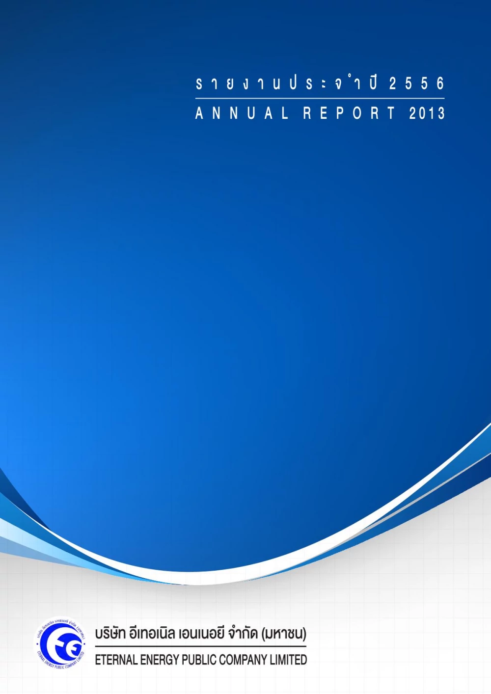 Annual Report 2013