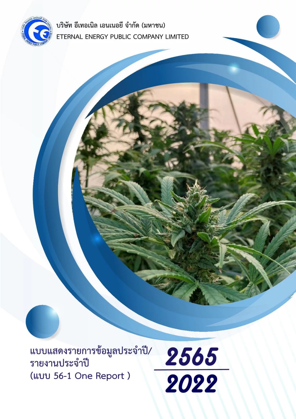 Form 56-1 One Report 2022