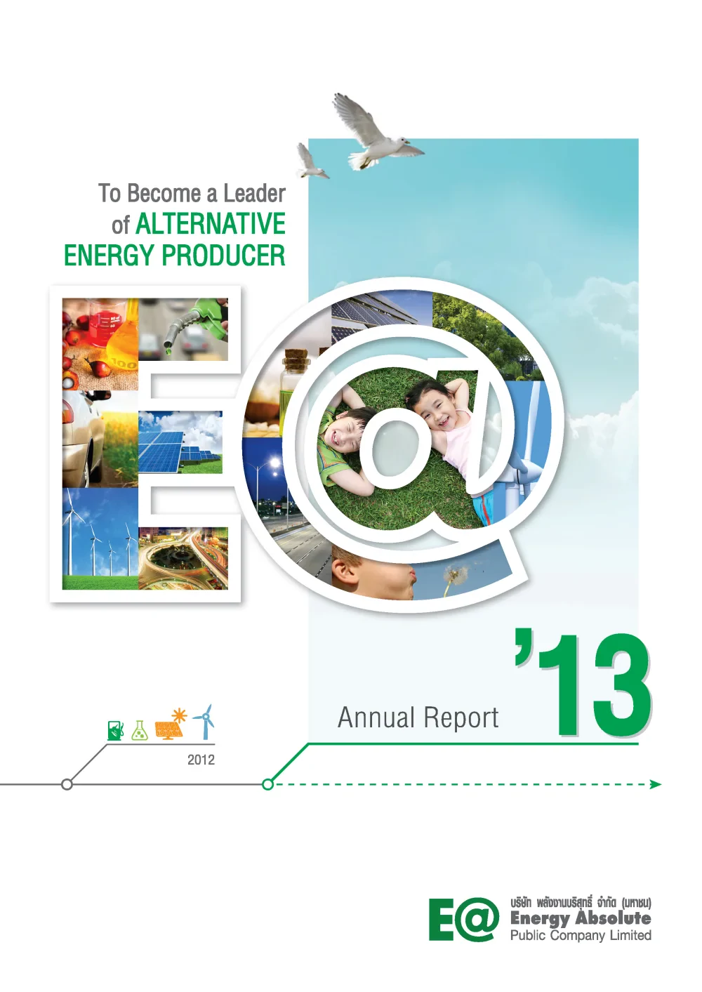 Annual Report 2013