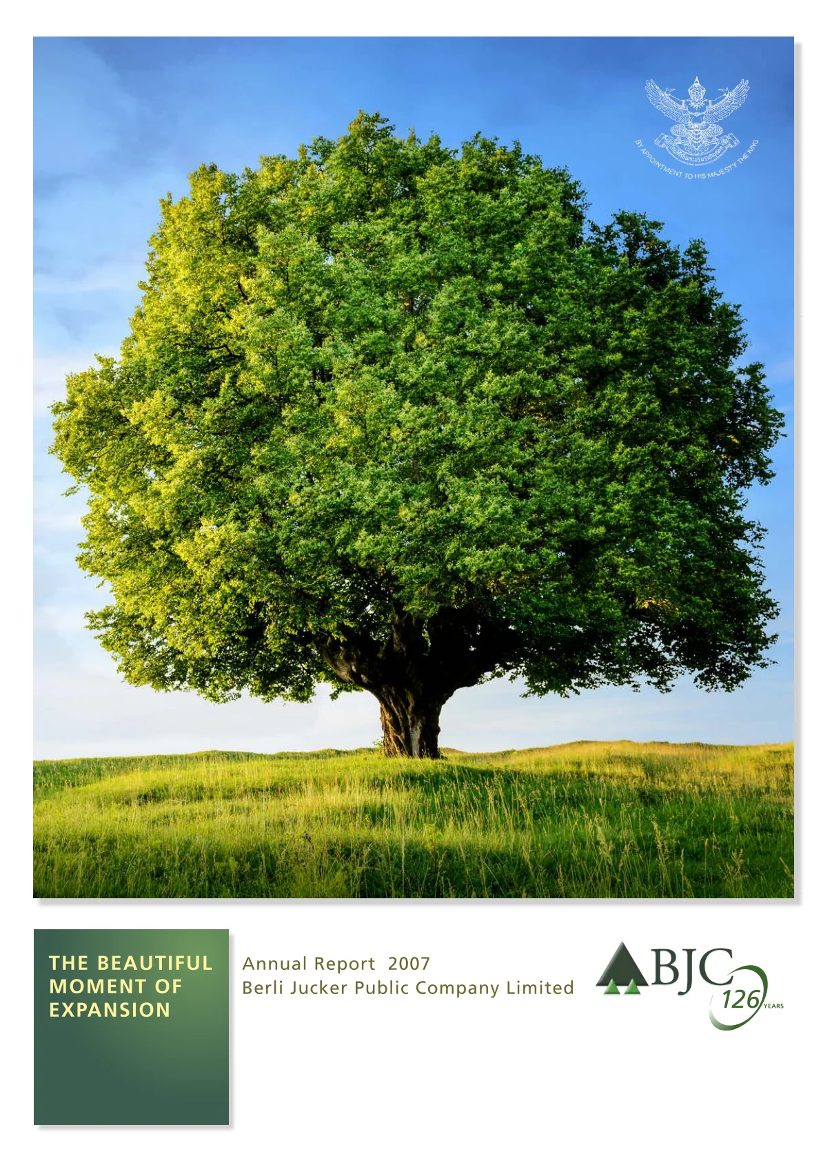 Annual Report 2007