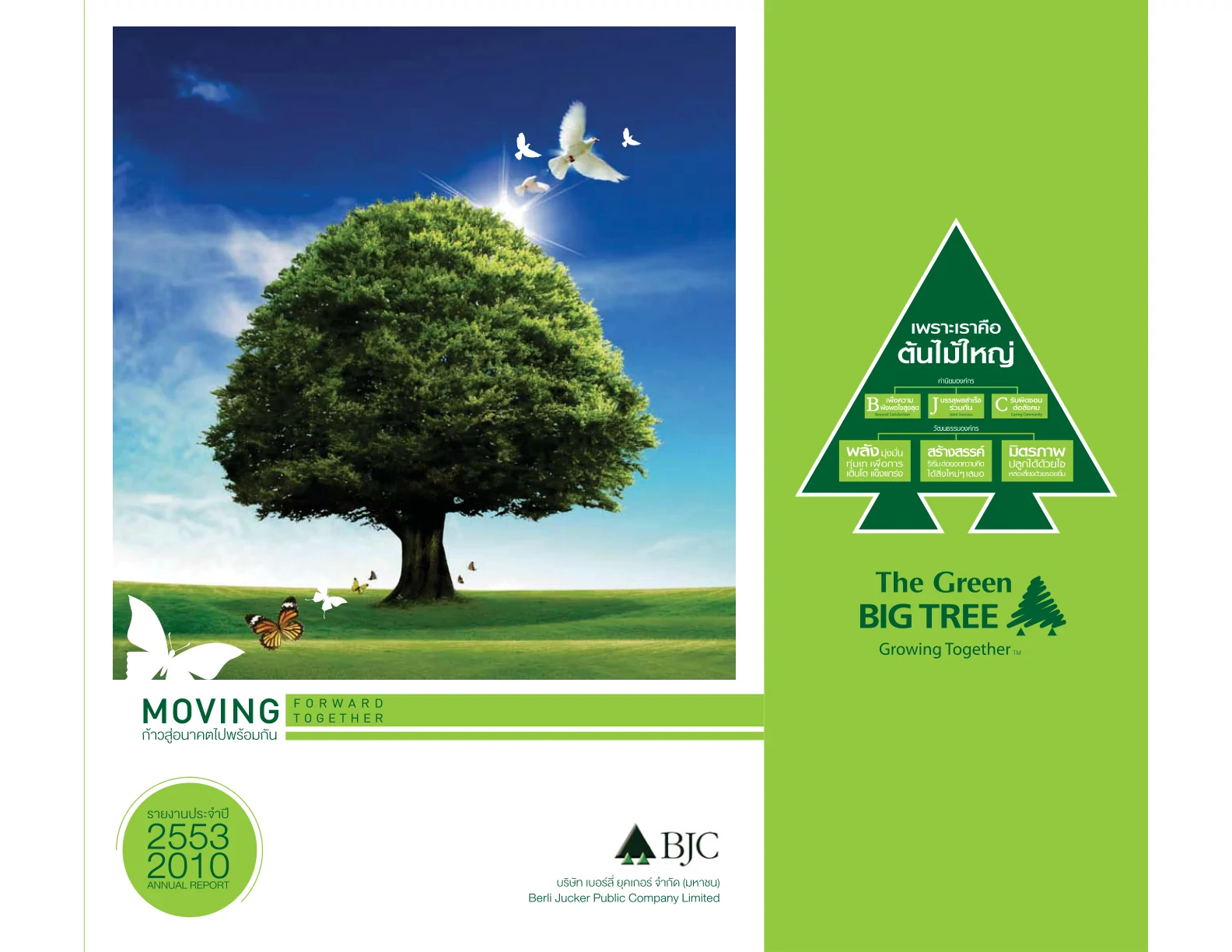 Annual Report 2010