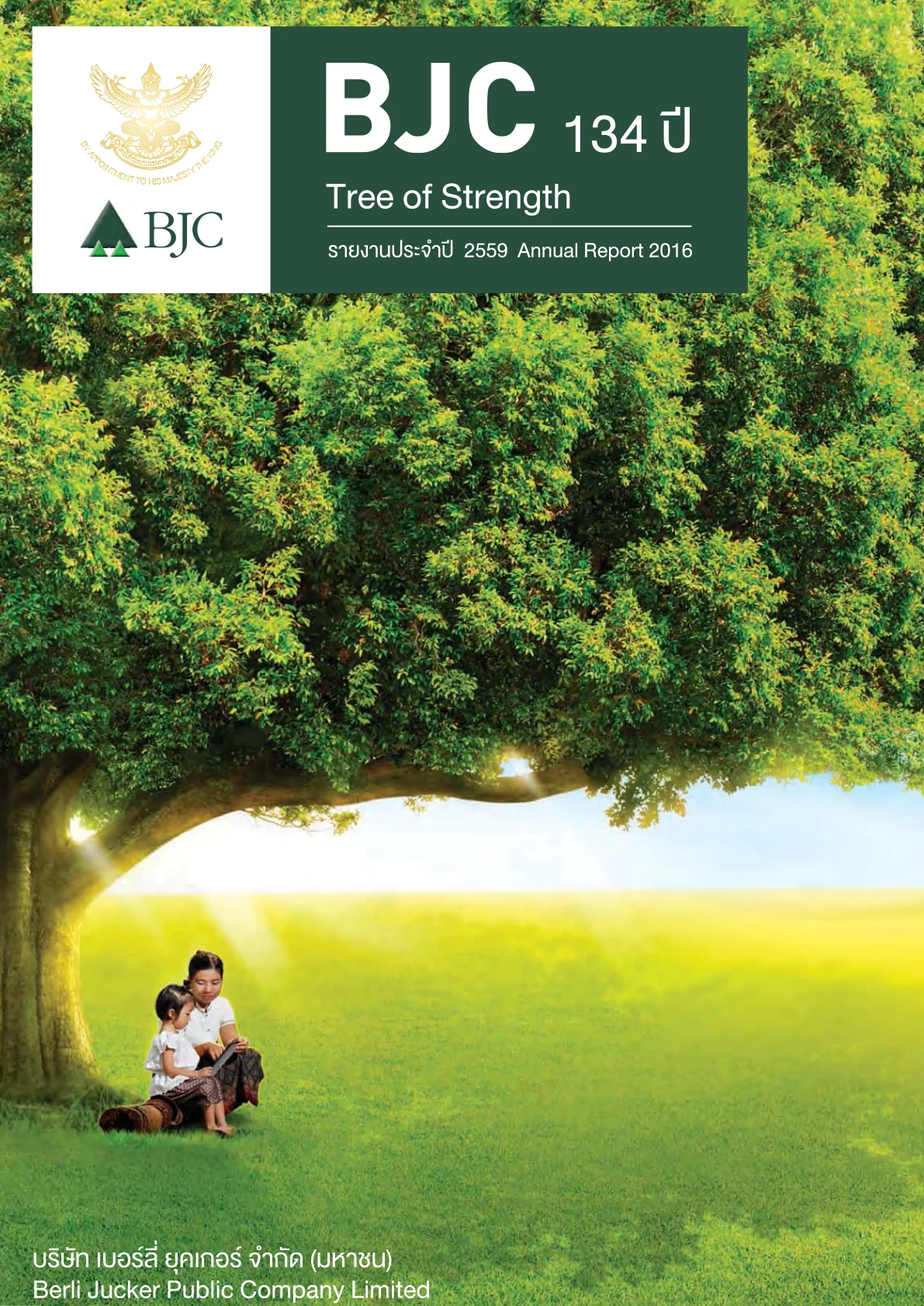 Annual Report 2016