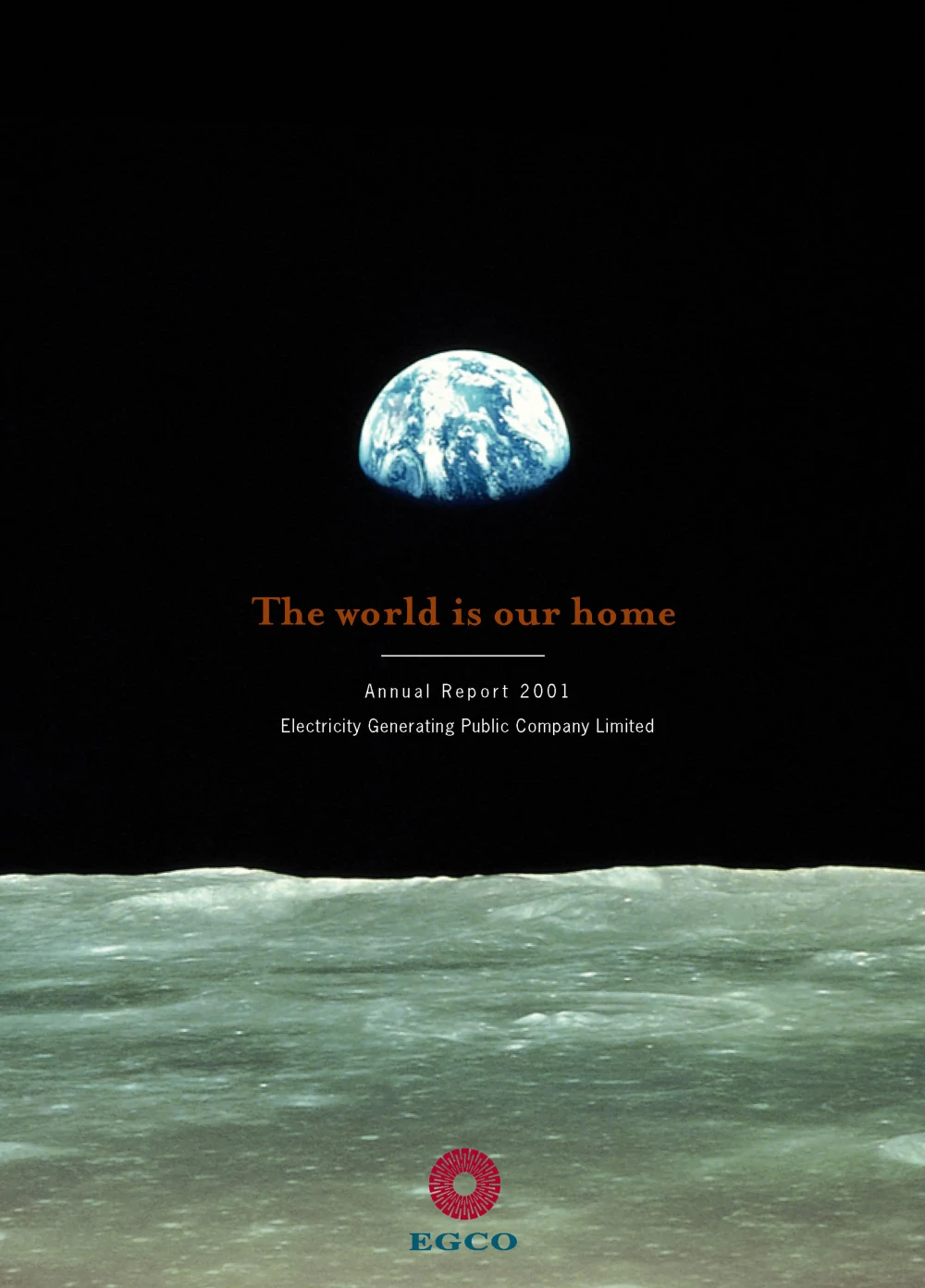 Annual Report 2001
