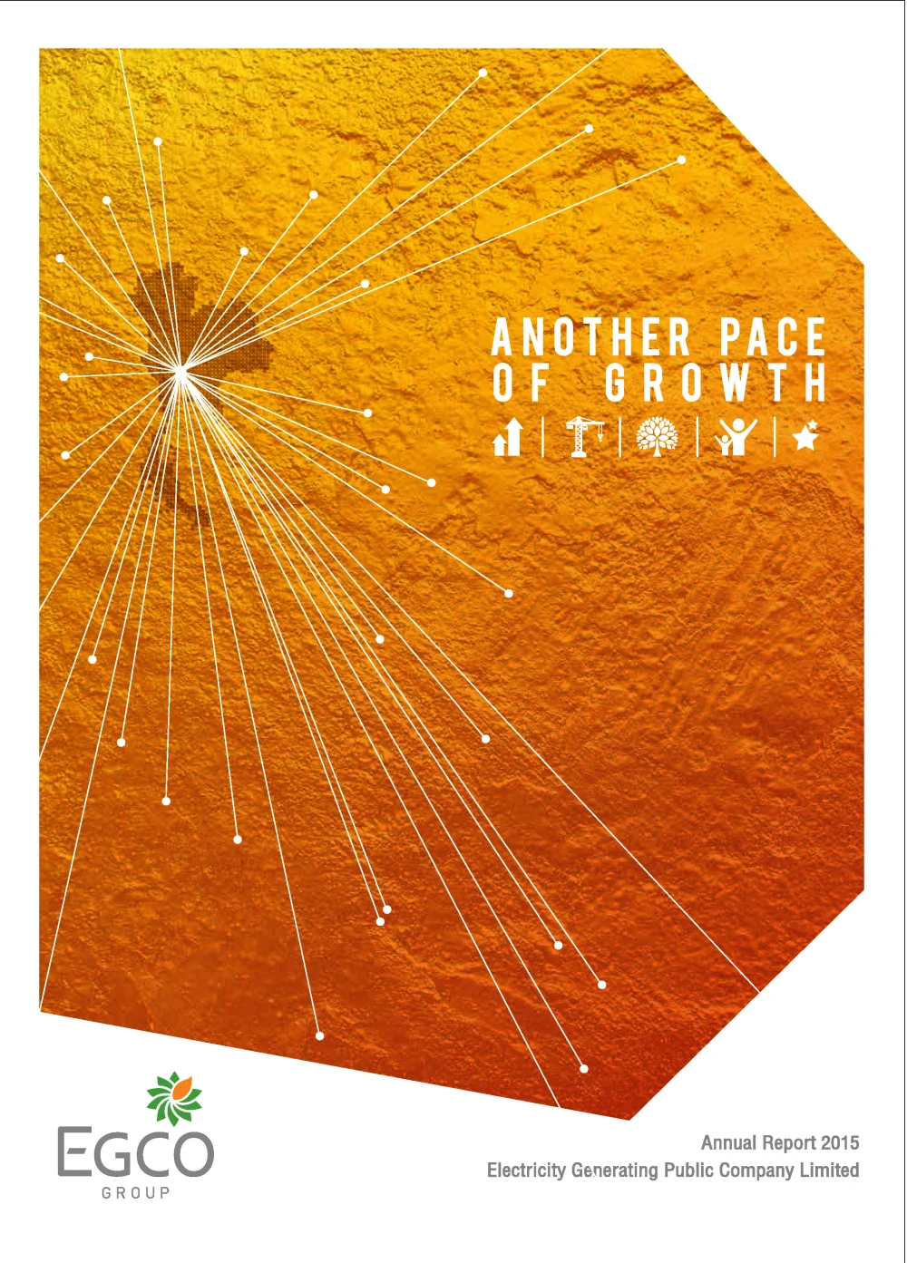 Annual Report 2015
