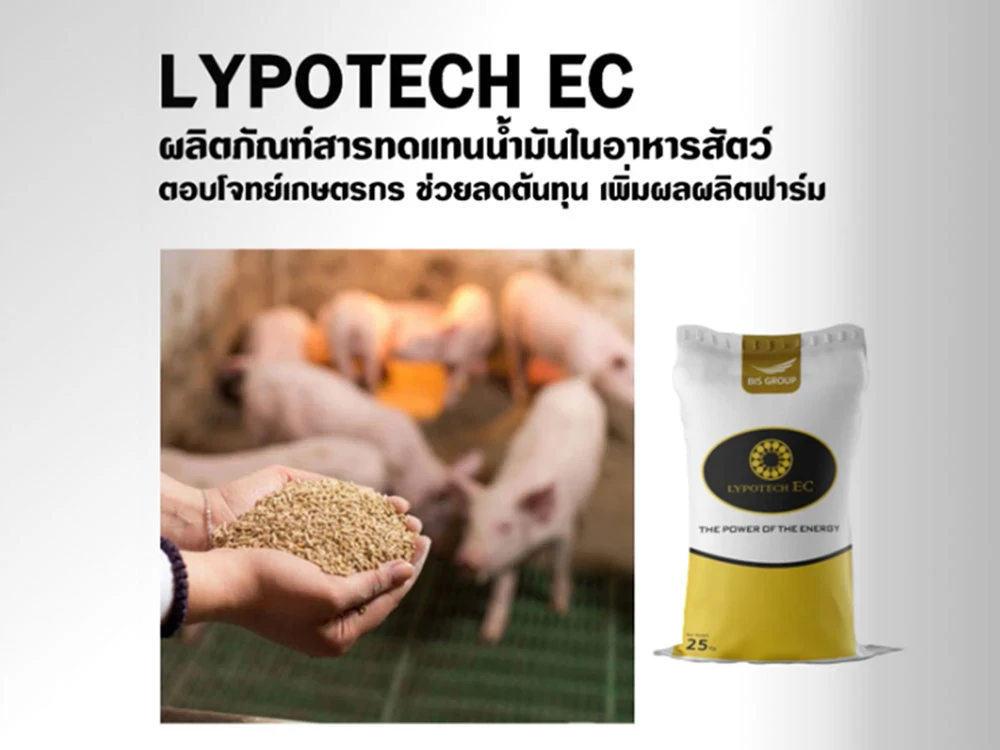 LYPOTECH EC ผลิตภัณฑ์สารทดแทนน้ำมันในอาหารสัตว์ตอบโจทย์เกษตรกร ช่วยลดต้นทุน เพิ่มผลผลิตฟาร์ม