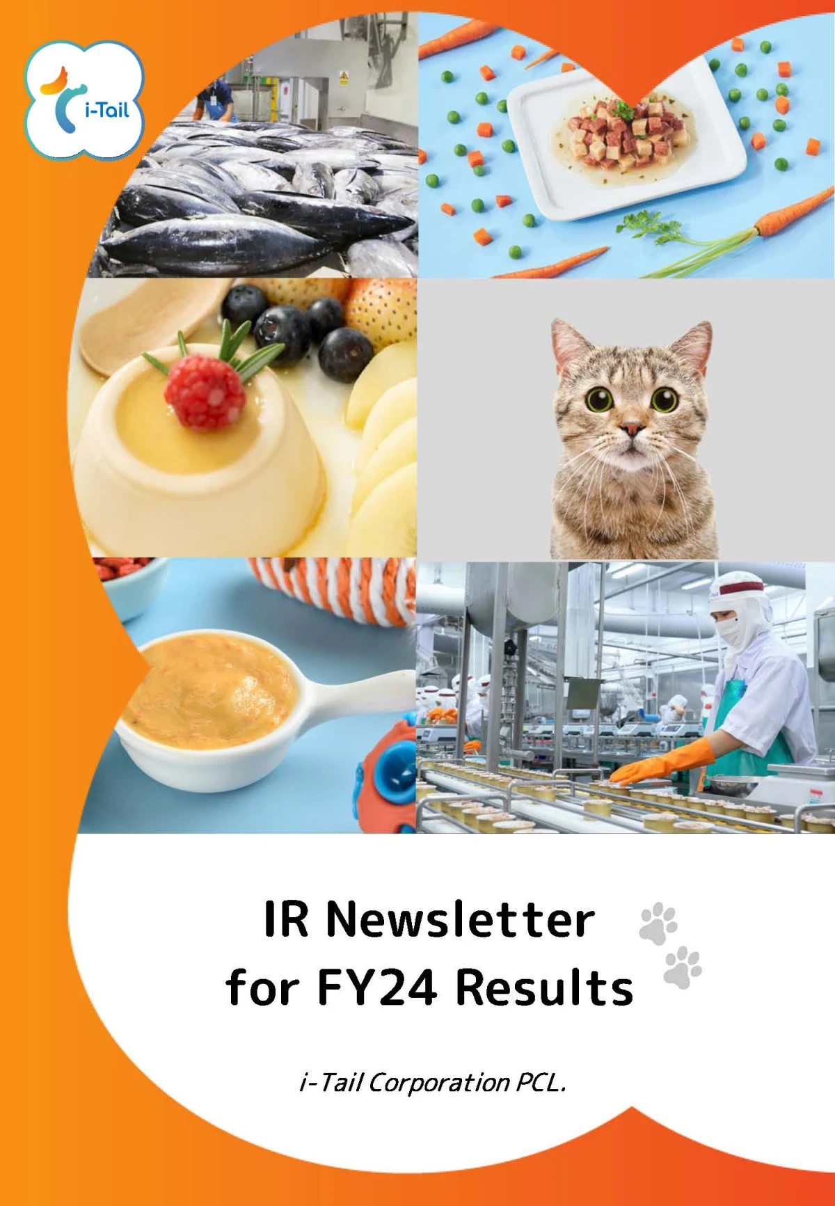 IR Newsletter for FY2024 results