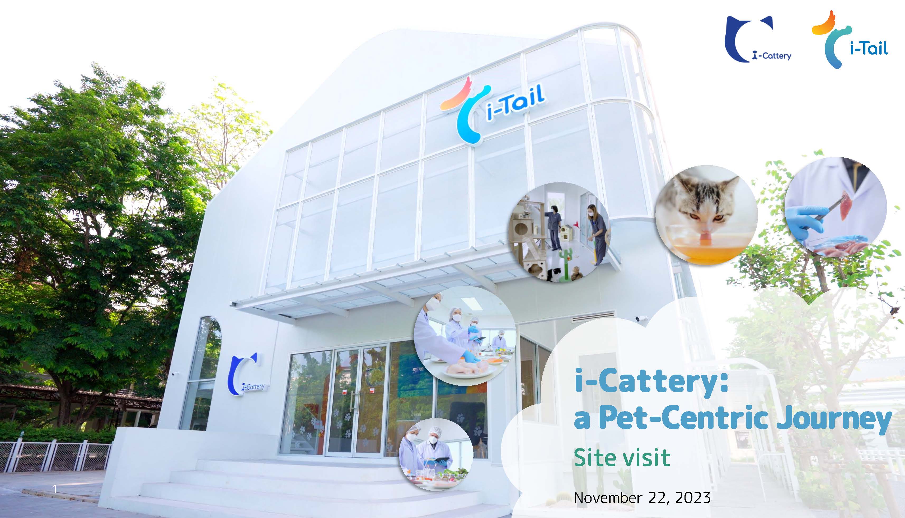 i-Cattery, a Pet-Centric Journey