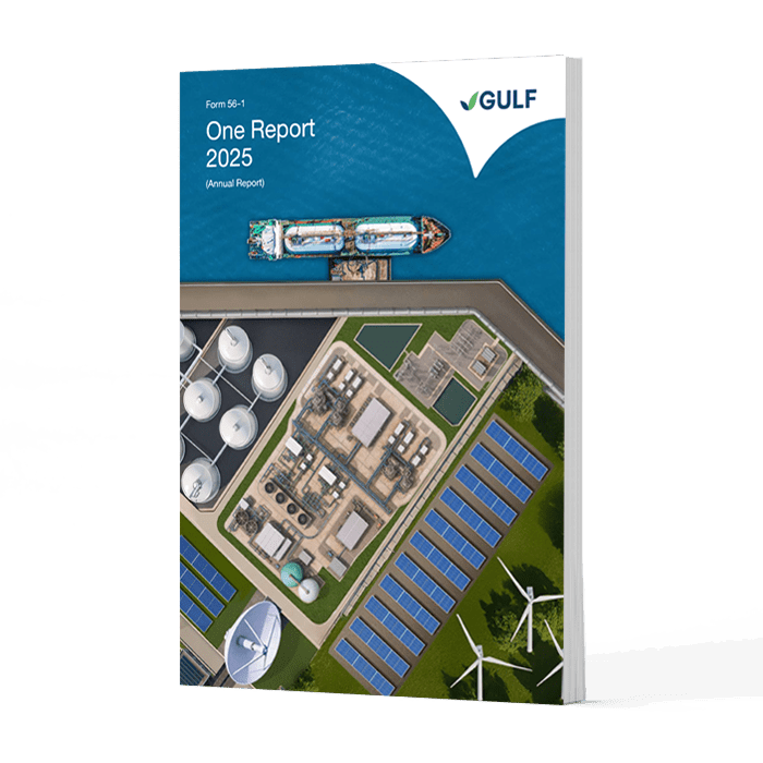 56-1 One Report 2025